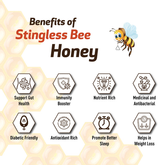 Bayu Kelulut Stingless Bee Honey β 100% Pure Raw Natural Honey | Immune Boost & Daily Wellness | Malaysian Superfood | No Sugar Added β 700g