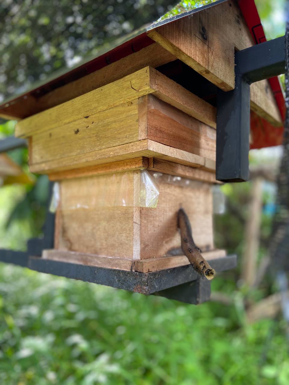 Bayu Kelulut Stingless Bee Honey 100g